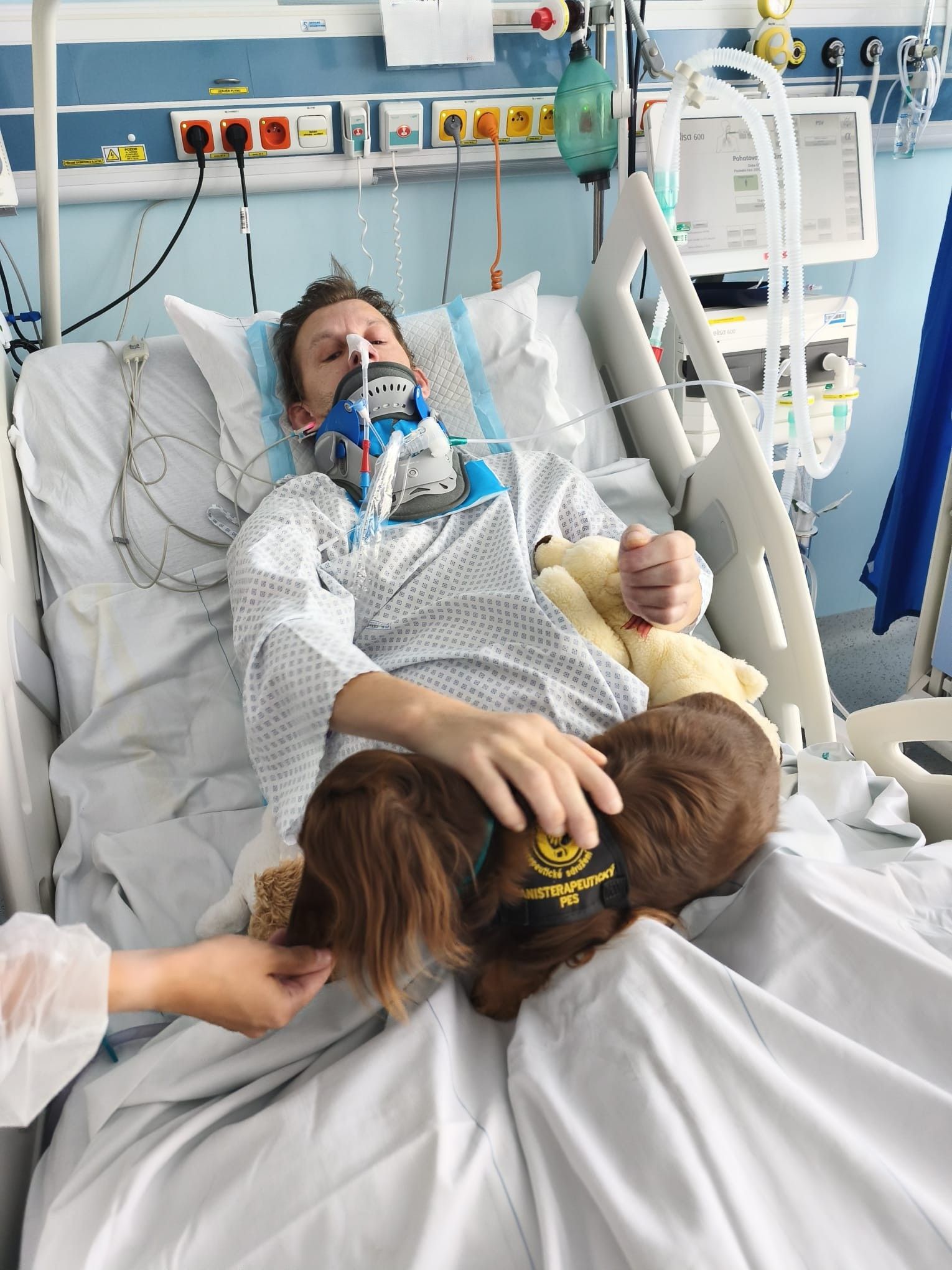 Kontakt pacienta se psem na lůžku