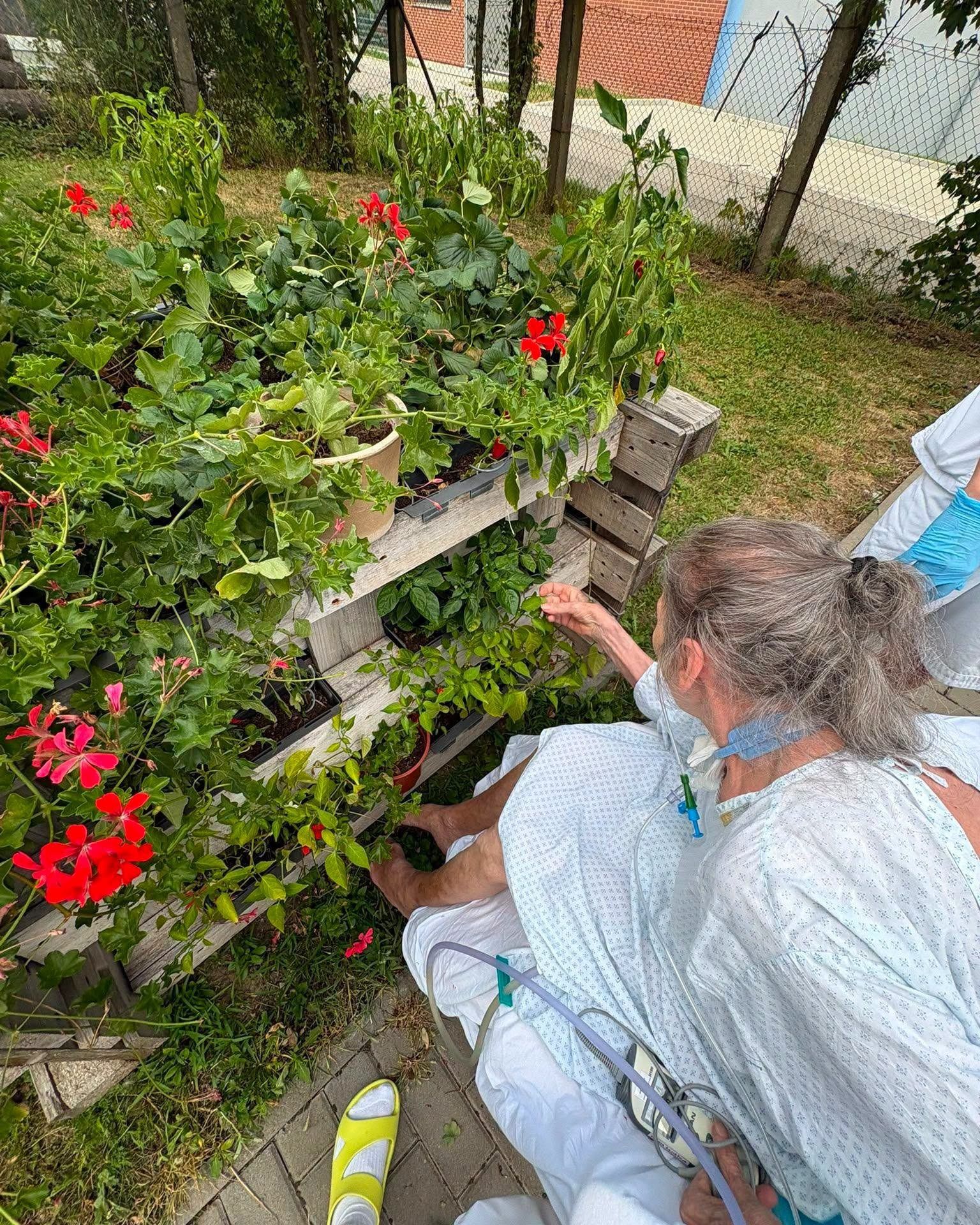 Pacient u rozkvetlých květin venku